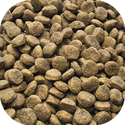 ALL DOGS GRAIN-FREE Hundefoder – Kornfri hundemad til alle hunderacer ...